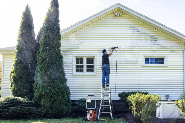 Best Fence Cleaning  in Mount Pleasant, UT